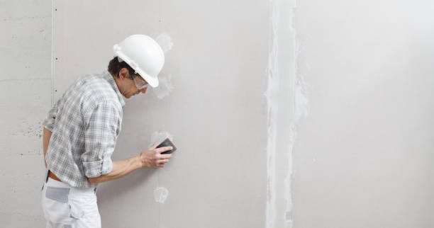 Best Fire-Damaged Drywall Repair  in Saugerties South, NY